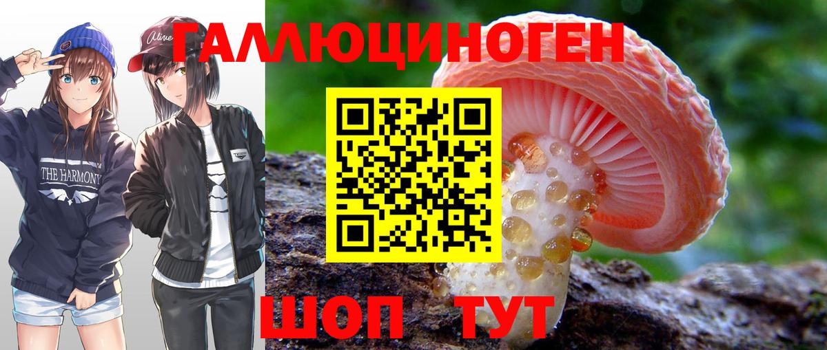 Галлюциногенные грибы Psilocybe  Псилоцибиновые грибы ЛСД  как найти закладки  Тимашёвск  Вход с VPN 